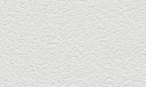 R65438-17 Alessandro Allori Barbara R 65438-17