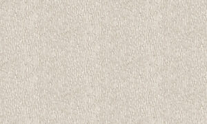 Alessandro Allori Breeze RDT2205-2