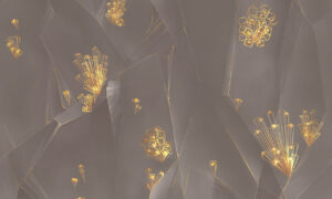 0052-G2-texture Фрески Applico FOUR 0052-G2